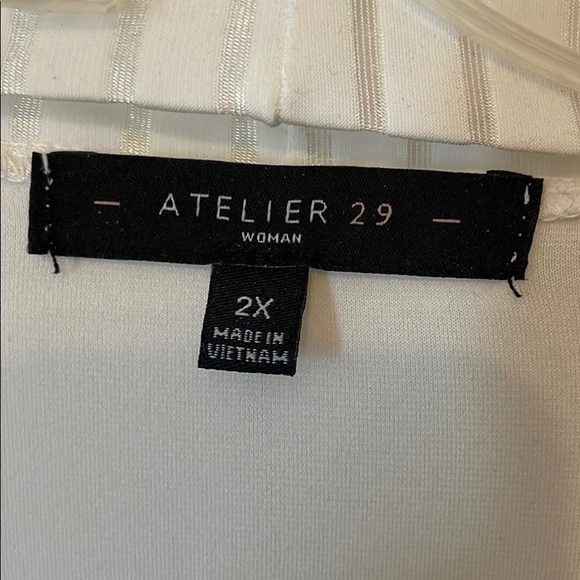 Beige blouse 2X. Shell and sheer overshirt. - Picture 3 of 5